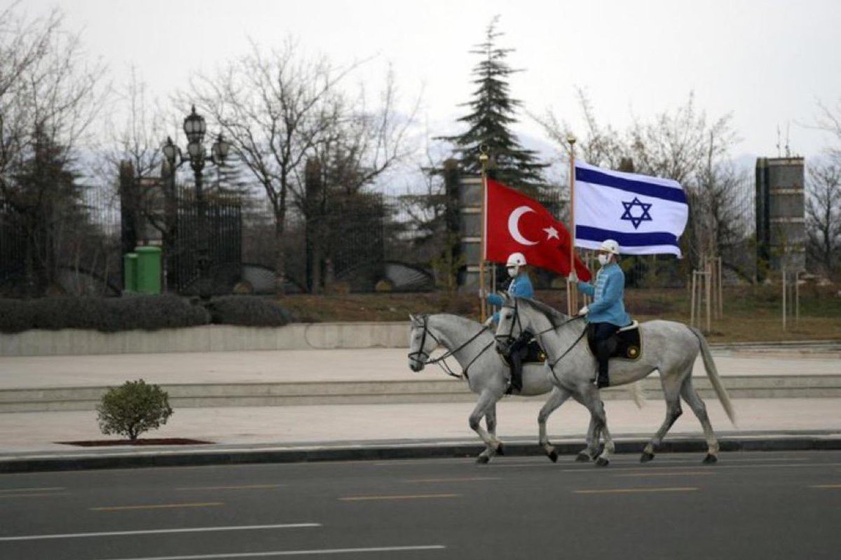 Havin Çavdar tweet media