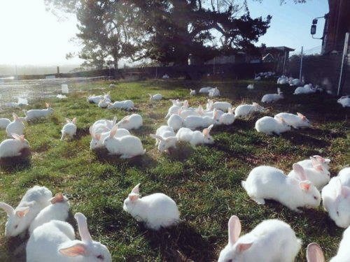 Sweet:, e.Mymy Ϟ𖡬 tweet media