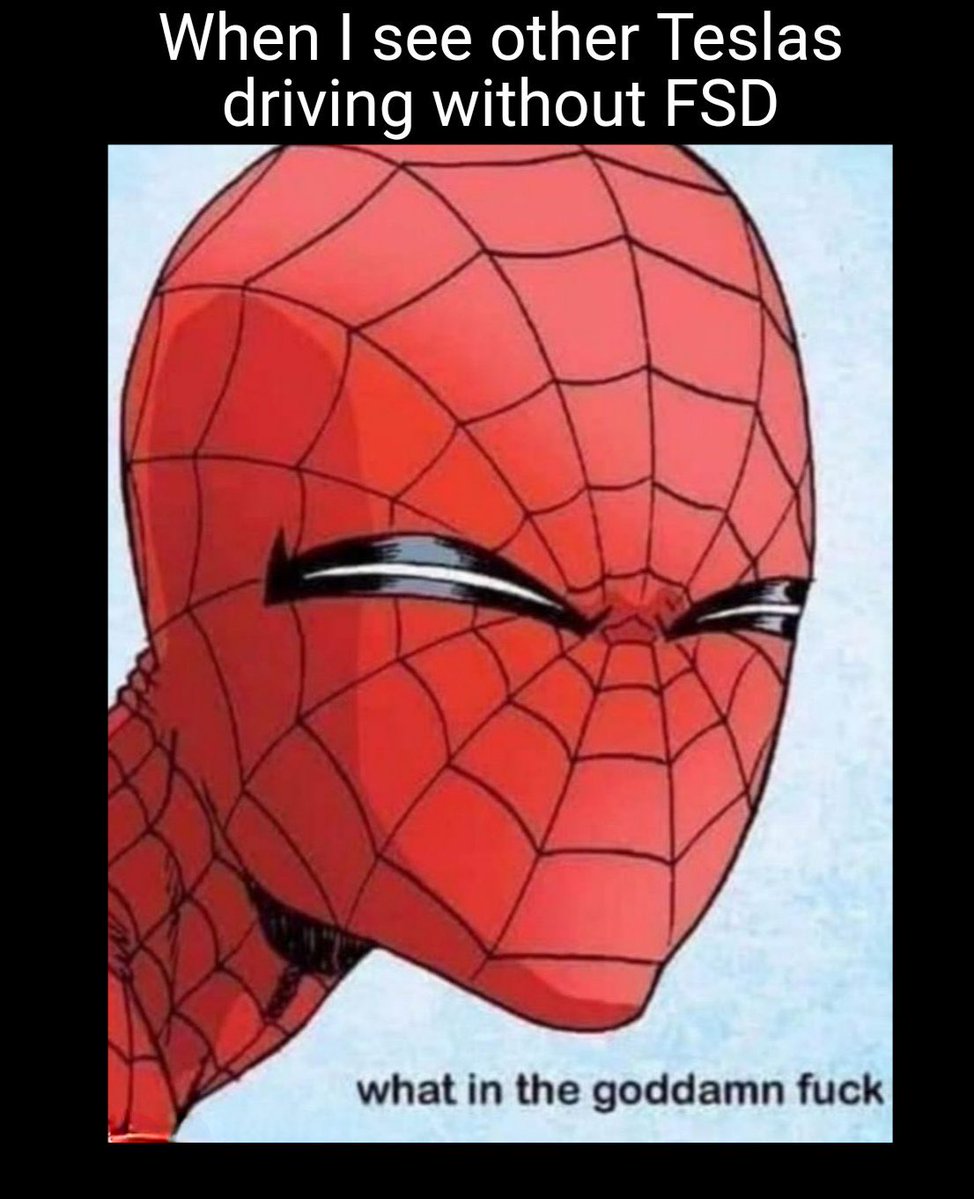 Optima_42 tweet media