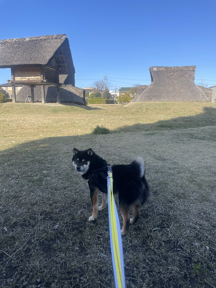 よんちゃ tweet media