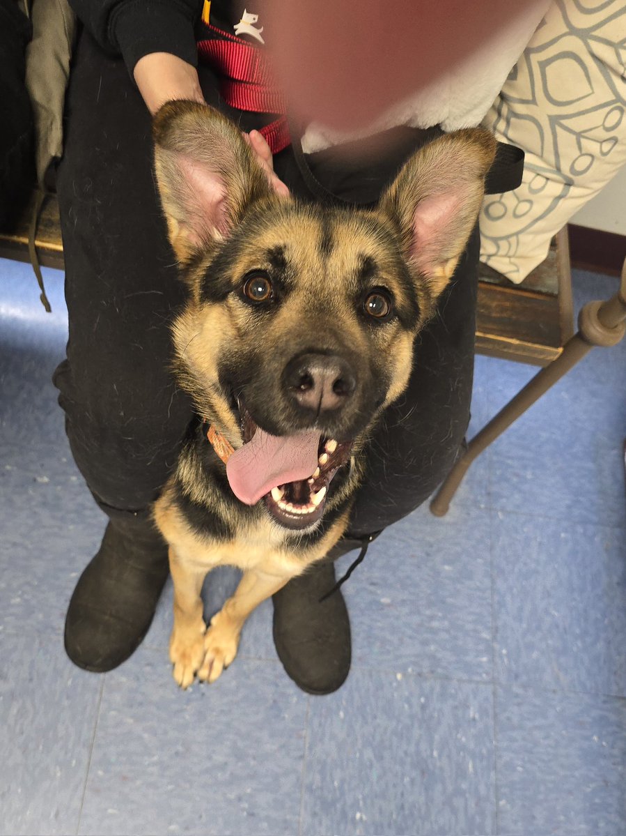 Ferret Zone tweet media