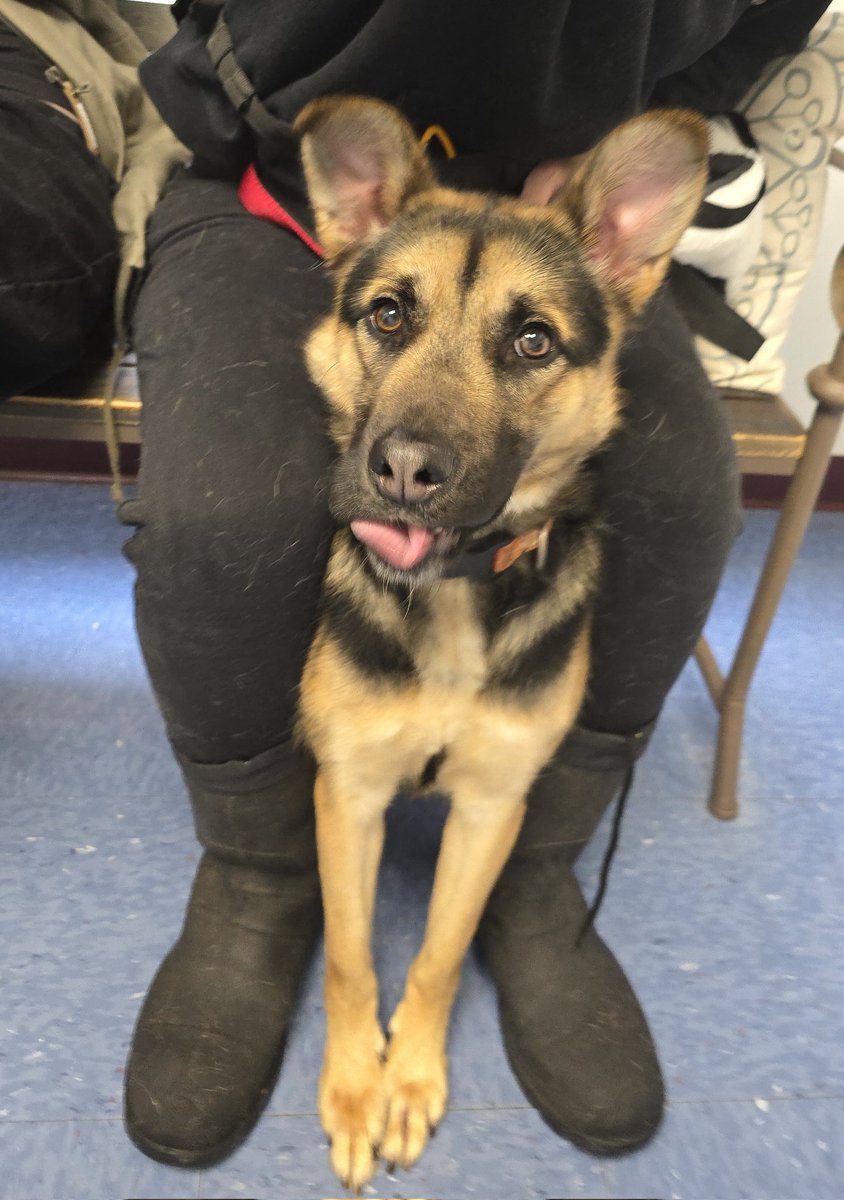 Ferret Zone tweet media