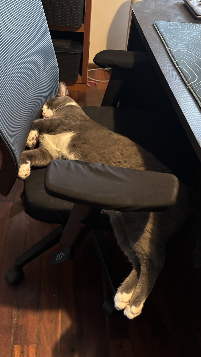 emily 🌷 tweet media