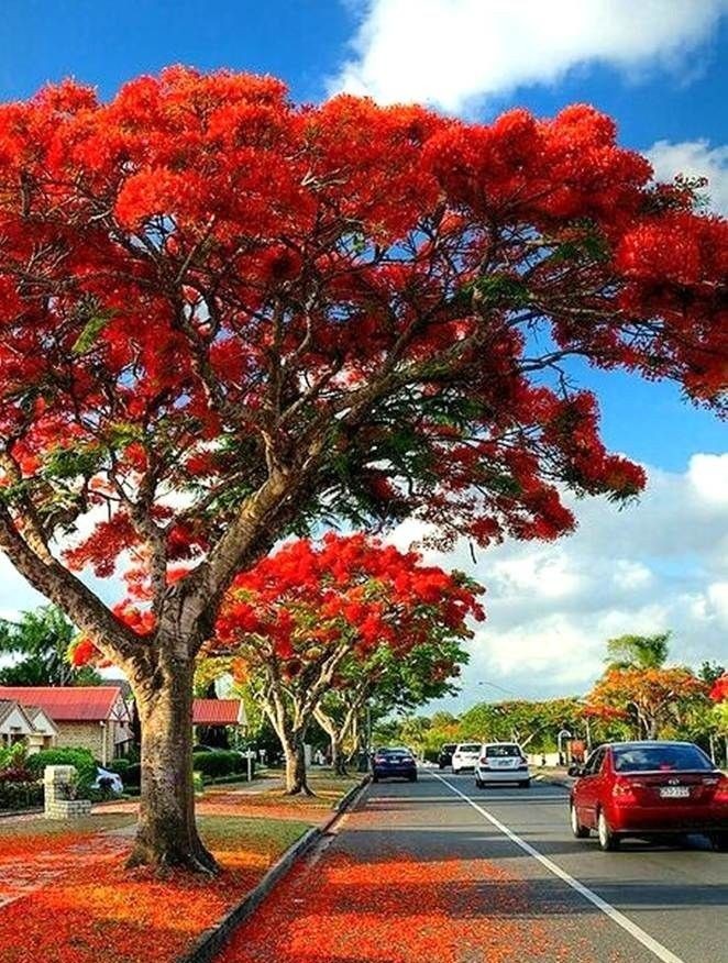 Sweet Nature (@sweet_nature1) on Twitter photo 