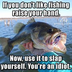 Austin Capps tweet media