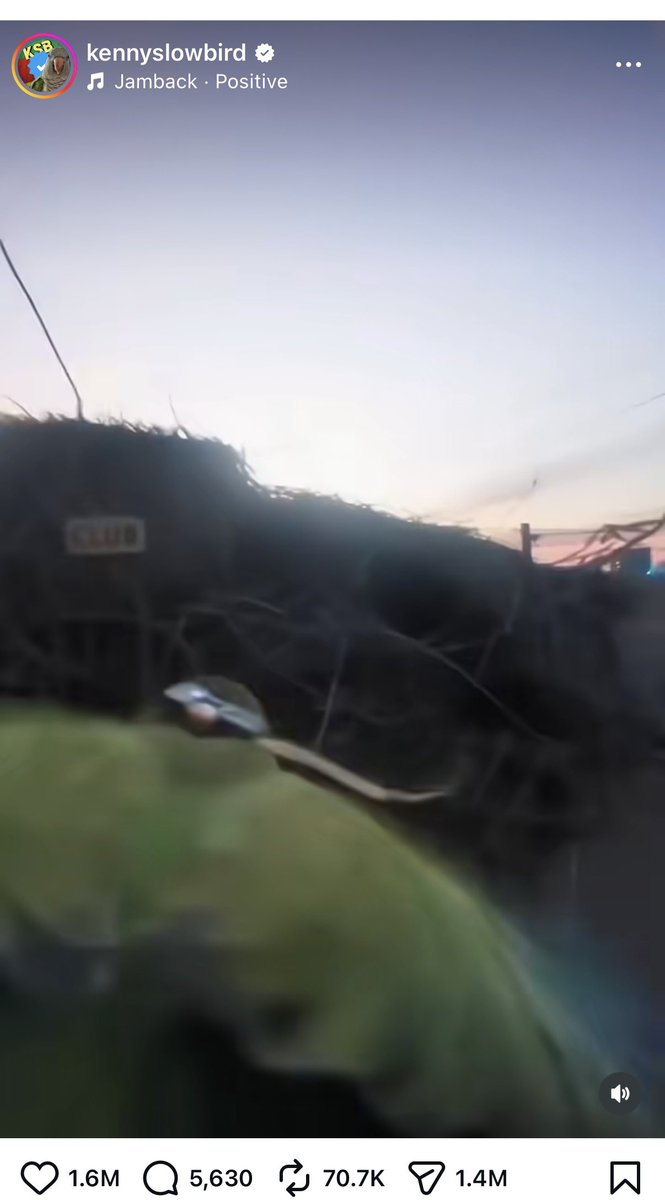 laseasy10 tweet media