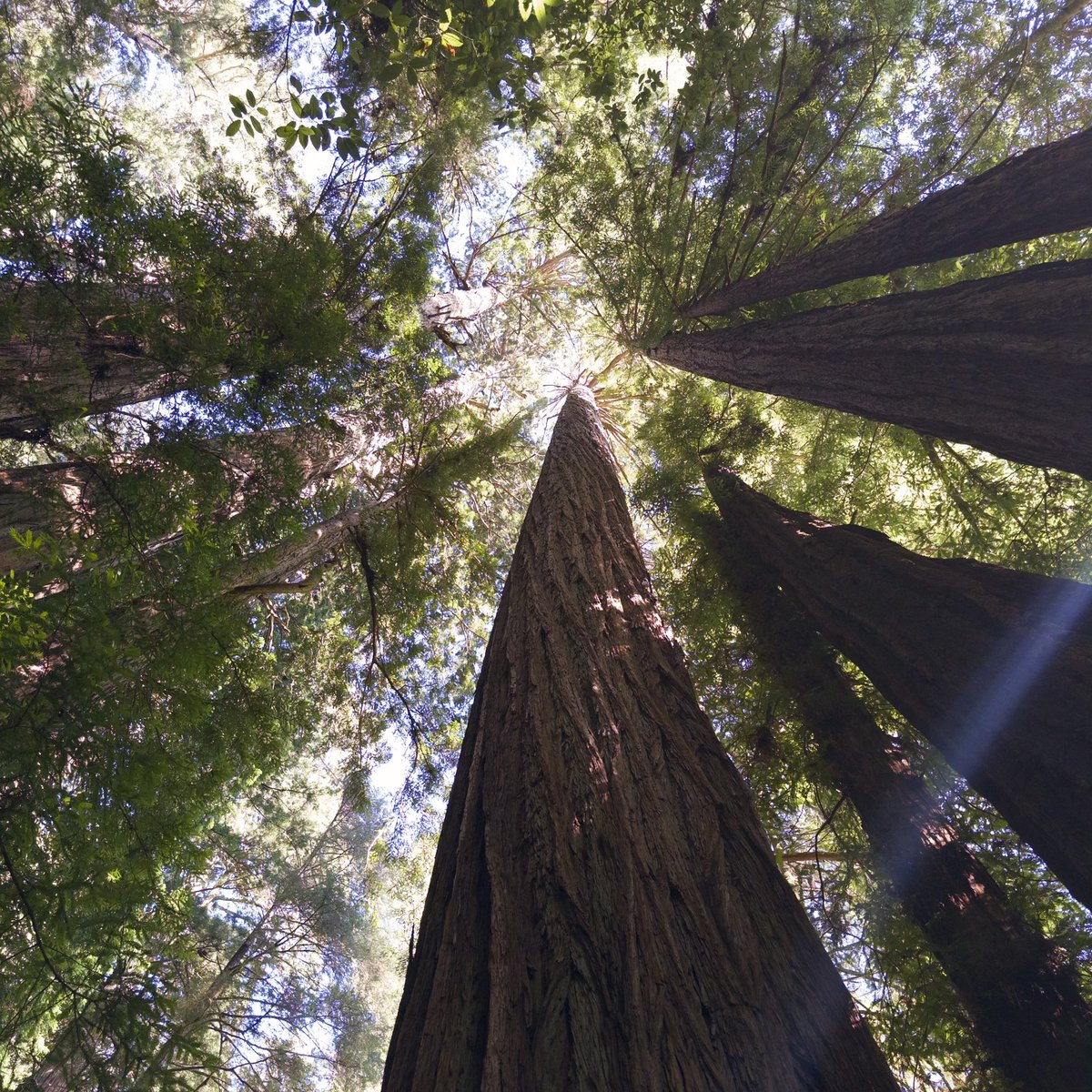 Riley Hennigh tweet media