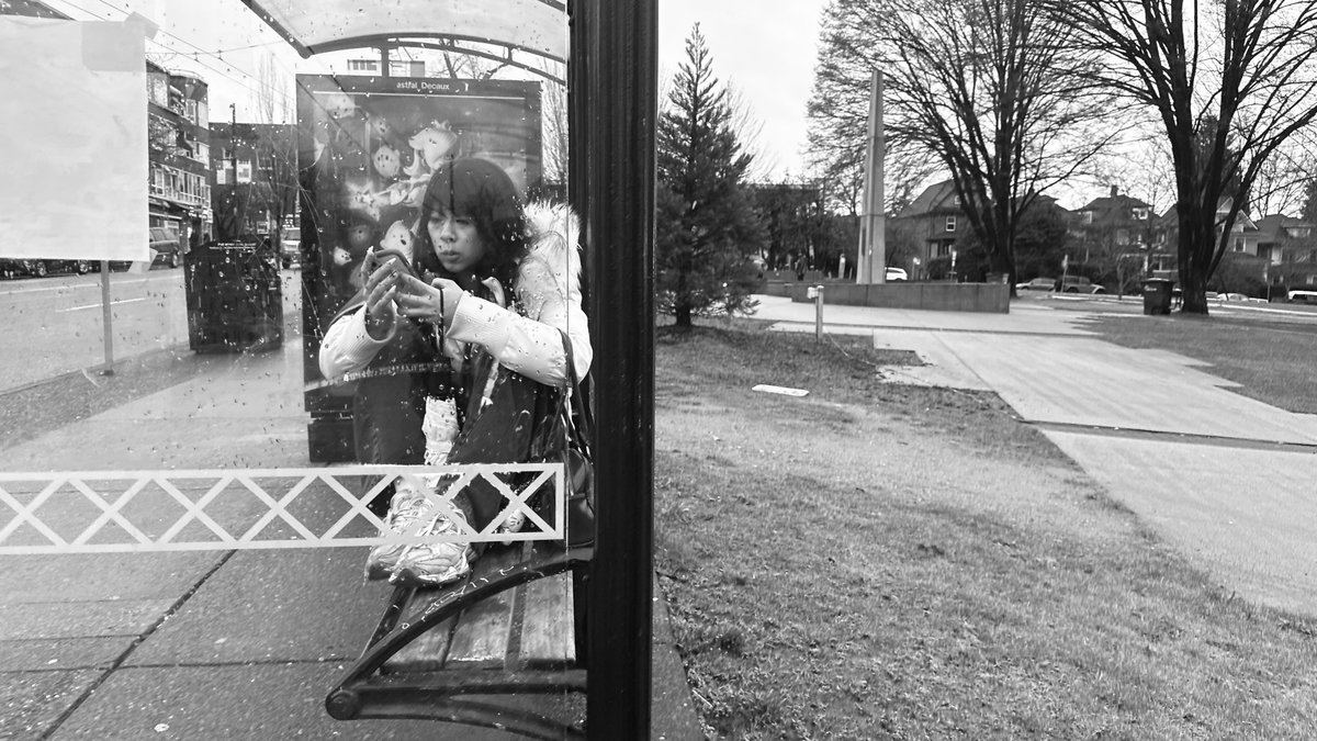 Notes From The Quotidian tweet media