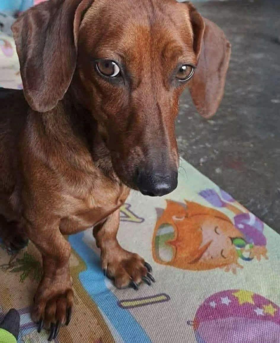 Marlyncris♍ tweet media