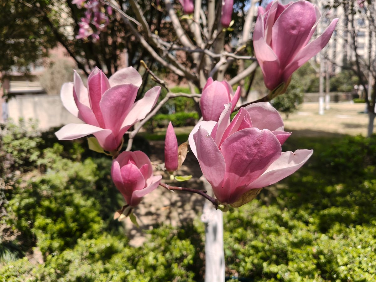 มิกเซ่อ tweet media