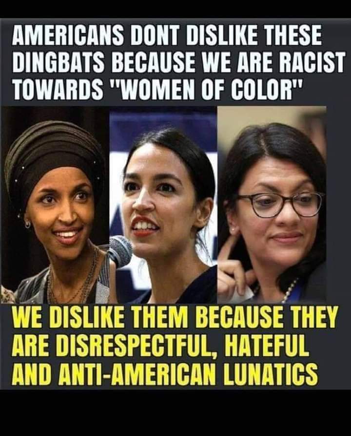 59Goldstein's tweet photo. @1959Goldstein This Antisemite anti-zionist AntiAmerican is still in Congress🤔🧐
She shouldn't be in the country let alone in Congress🤔
Am Yisrael Chai🇮🇱🫡 🇺🇸🗽
#LightforIsrael
#RemoveTheSquadFromCongress
#StopTerrorism
#StopHezbollah
#stophamas
#MassDeportationsNow
#MassDeportationOfTheCult https://t.co/dpo9YkXYKA