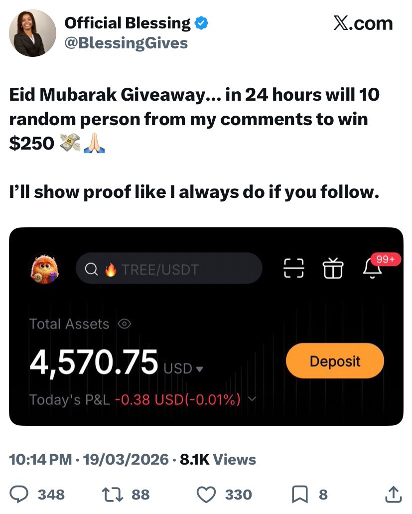 THE SOFT GUY tweet media