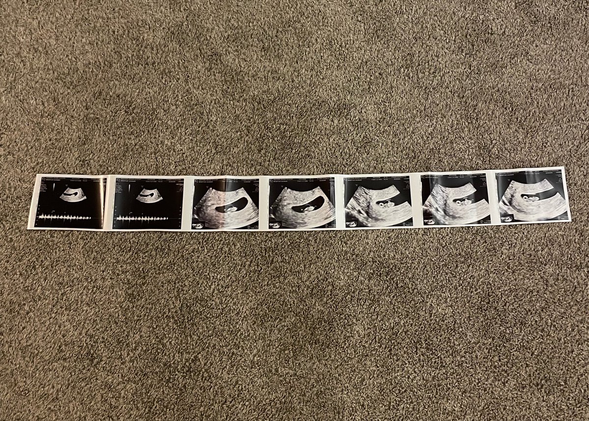 Meghan Rogan tweet media