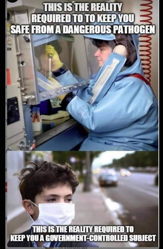 NACHO-GNATS tweet media