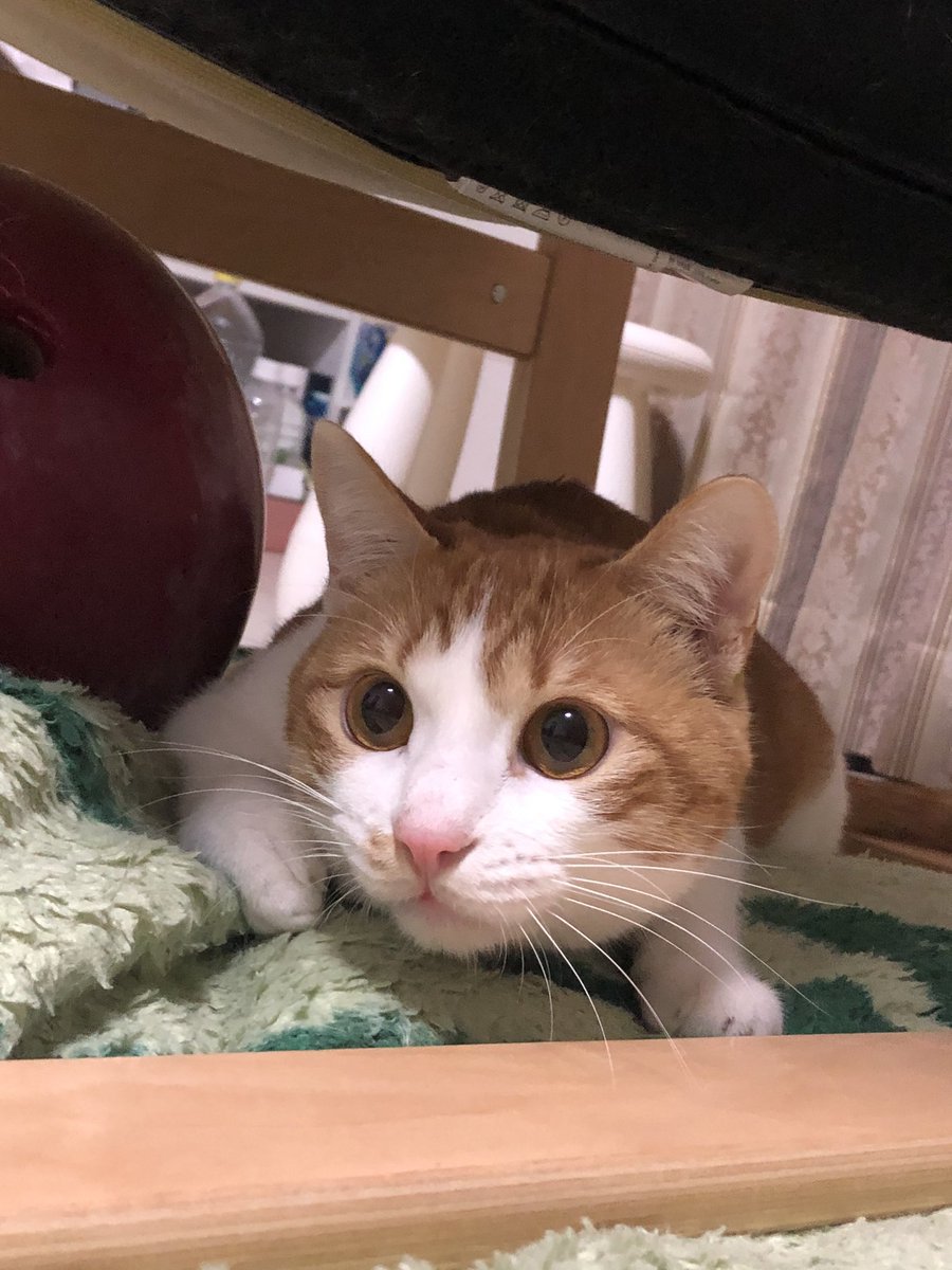 🔱Sanjay Kumar Pathak 🚩🇮🇳 tweet media