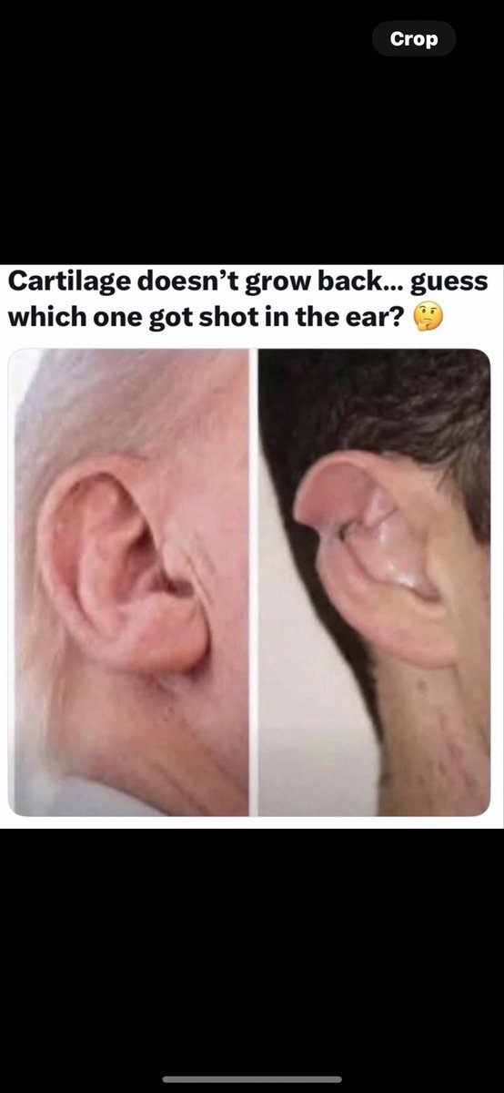 alwaysleft75 tweet media