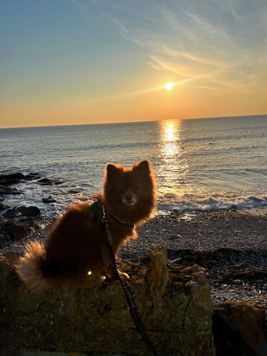 Chelsea🏴 tweet media