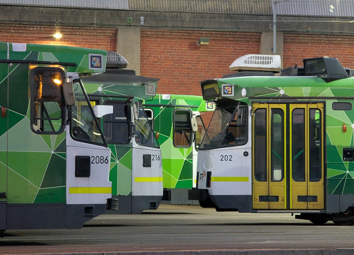 Declan Martin tweet media