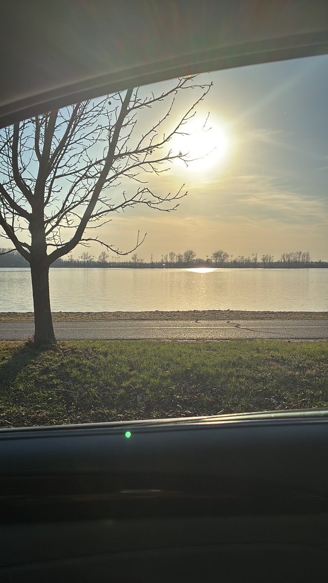 ShowMeTvGlobal tweet media