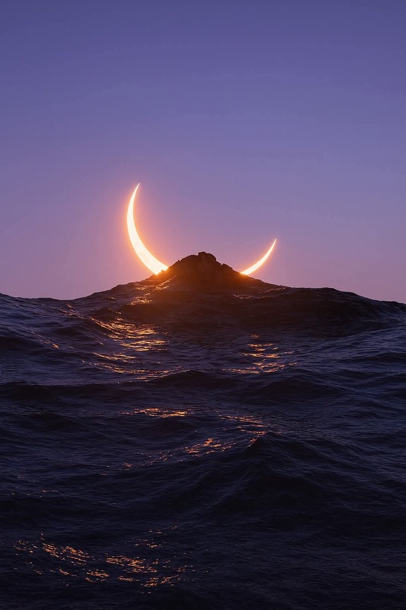 Dailyscienceinfo tweet media