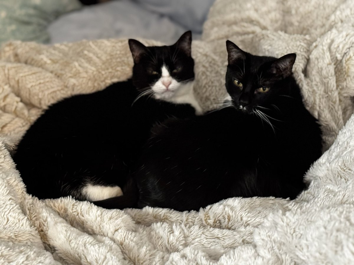 Patrick Skinner tweet media