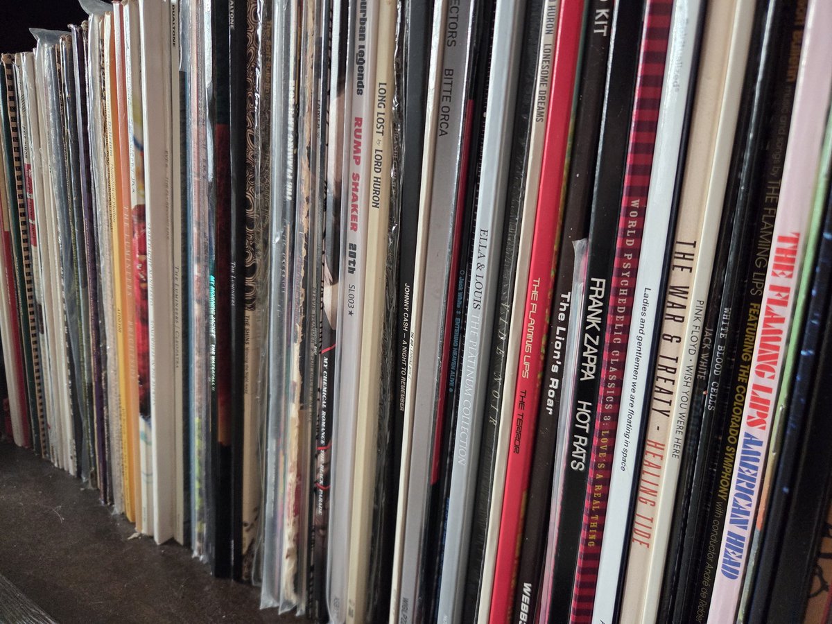 Gracie MacNcheese tweet media