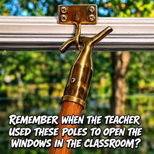 𝕊𝕥𝕖𝕧𝕖𝕟 𝕄. 𝕃𝕖𝕘𝕒𝕔𝕪 🇺🇸 tweet media