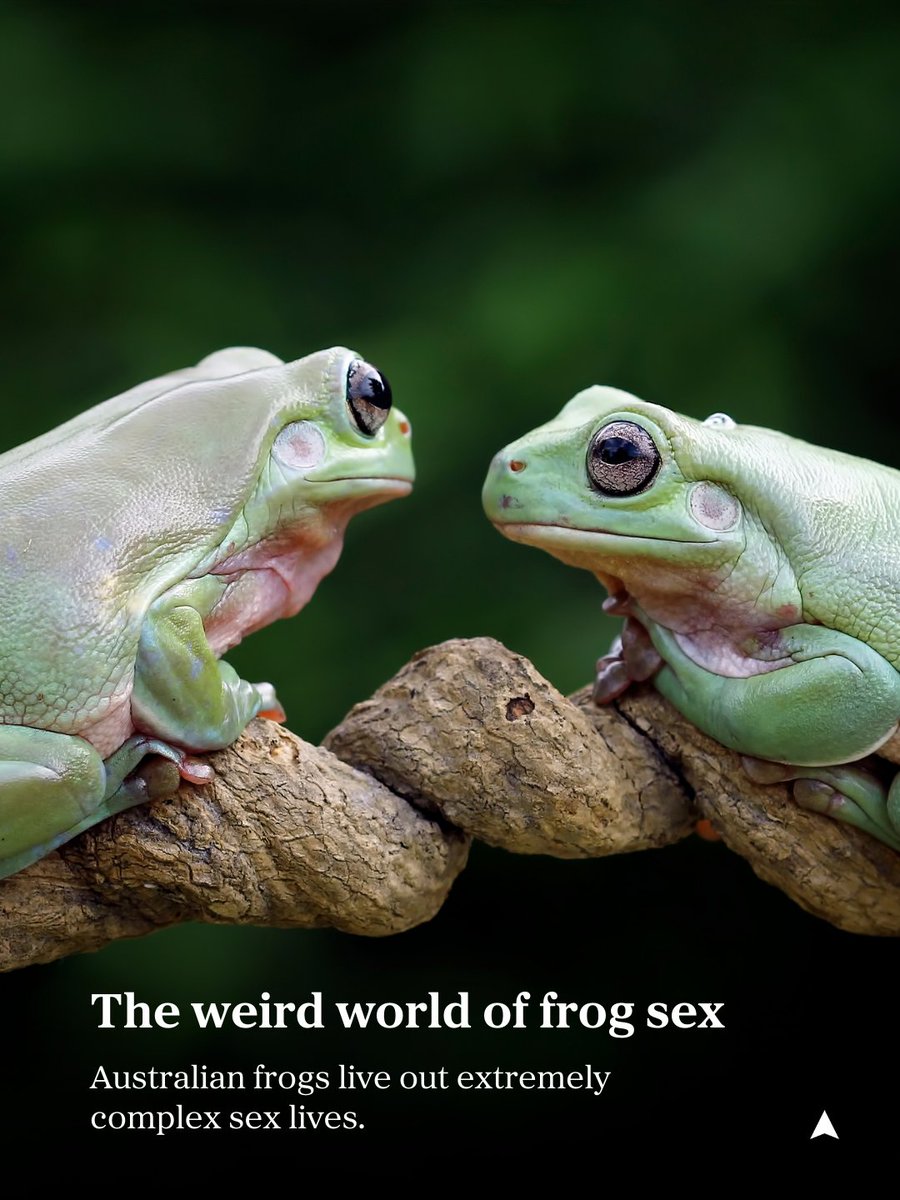 Australian Geographic tweet media