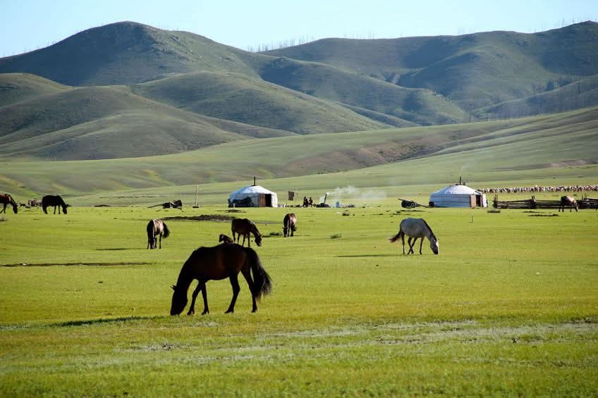 Bavuu Purevsuren tweet media