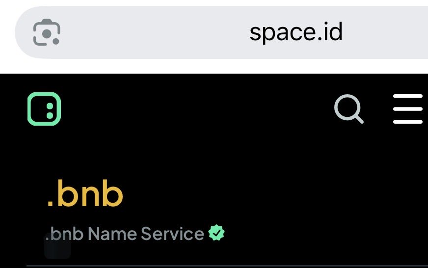 StrCryp's tweet photo. So, it's been three months already.
Hey, developers, @SPACEID why are you ignoring all our requests? None of the domains purchased since the beginning of the year are showing up!!! Only .bnb without name! https://t.co/axlzRe0pVR
