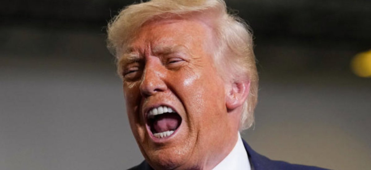 Mark from Ark tweet media