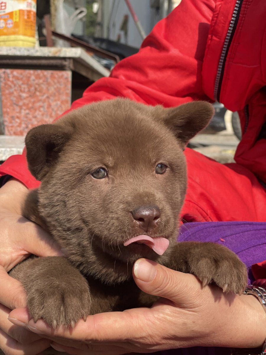 Britney Hamlin tweet media