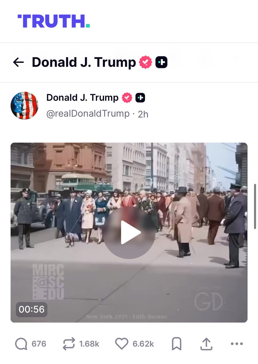 Mr. Whale tweet media