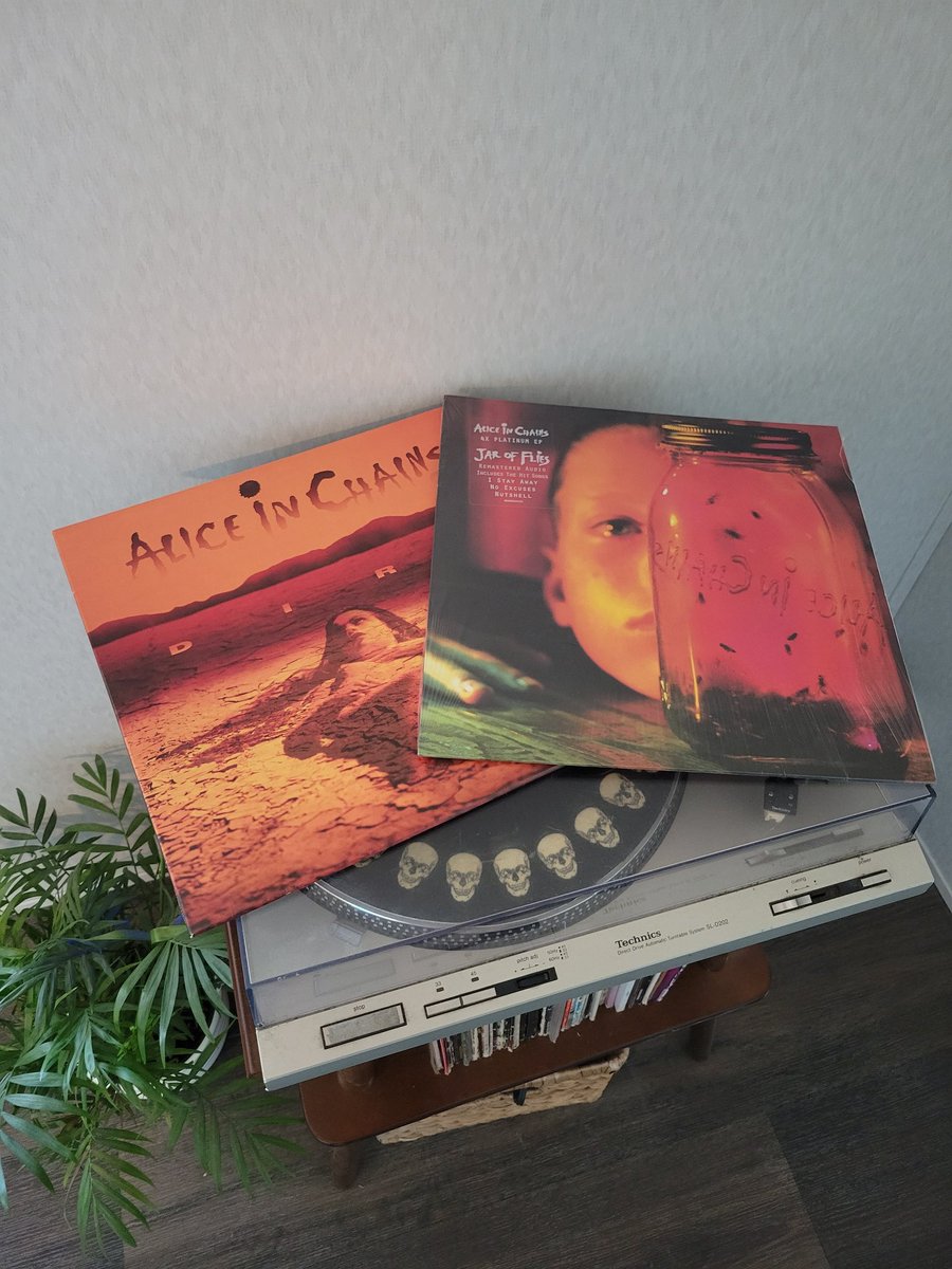 Dirty Rabbit tweet media