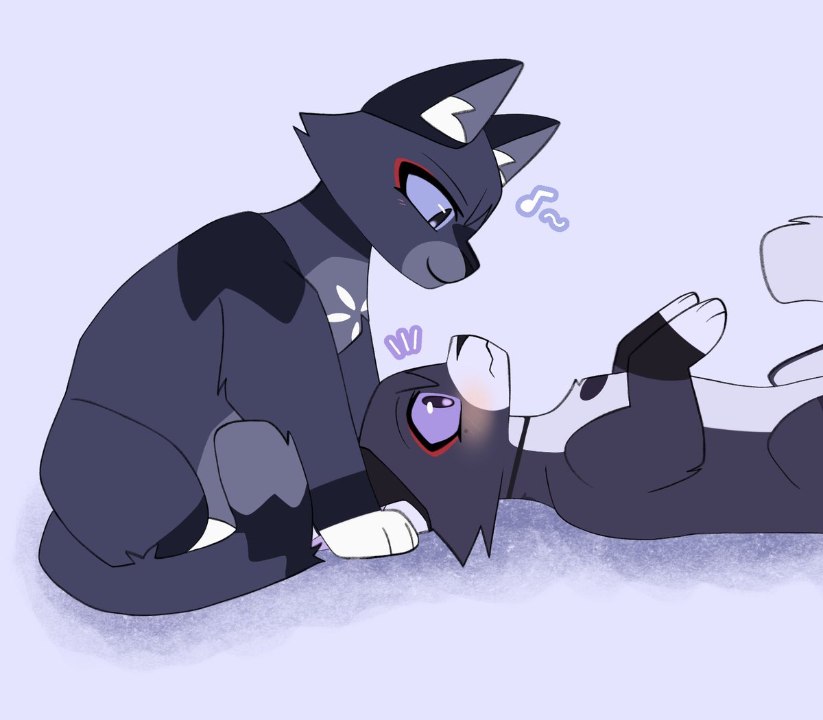 sillty nico tweet media