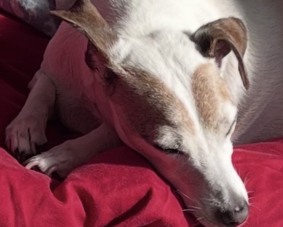 Jonathan🌊🌊🌊#VoteBlue2026 #RESIST🇺🇸 #BLUE🌊 tweet media