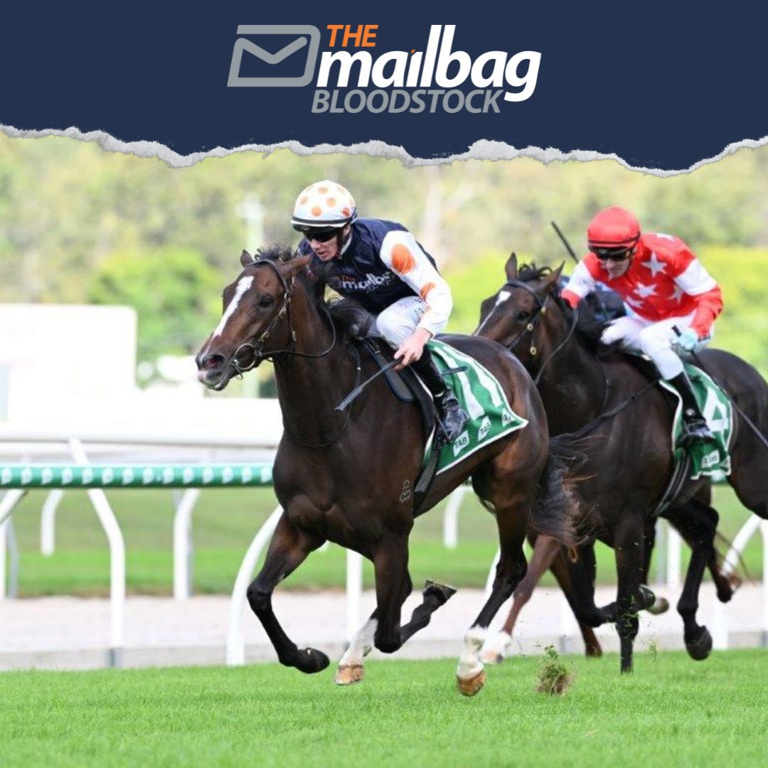 Mailbag Bloodstock tweet media