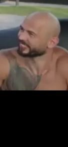 stereogamous tweet media