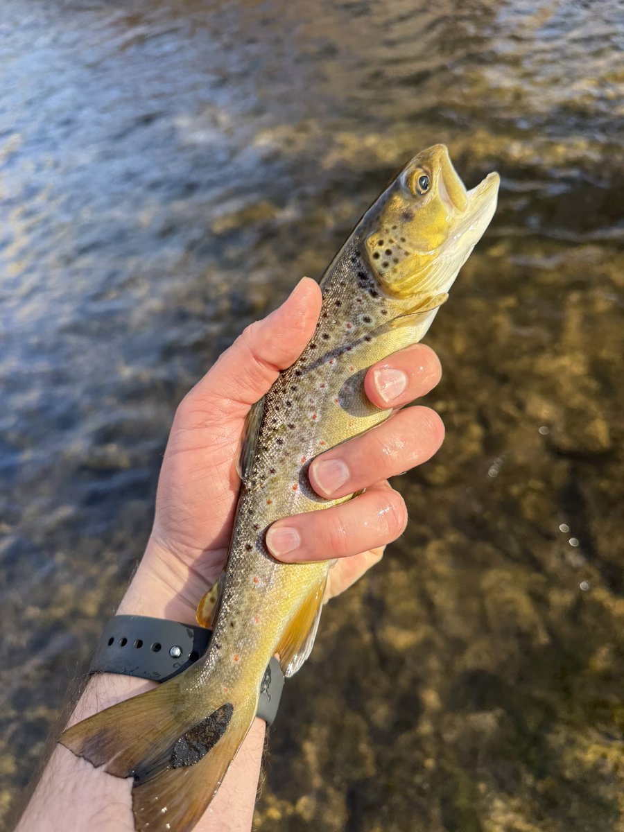 Matt Stoddard tweet media