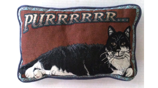 Theresa Marchione tweet media