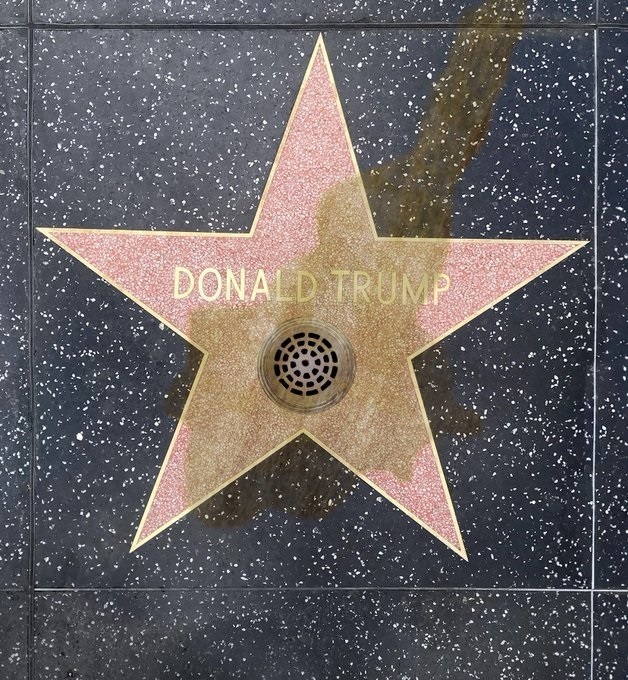 Don the border king🐱🎹🥁🌊 tweet media