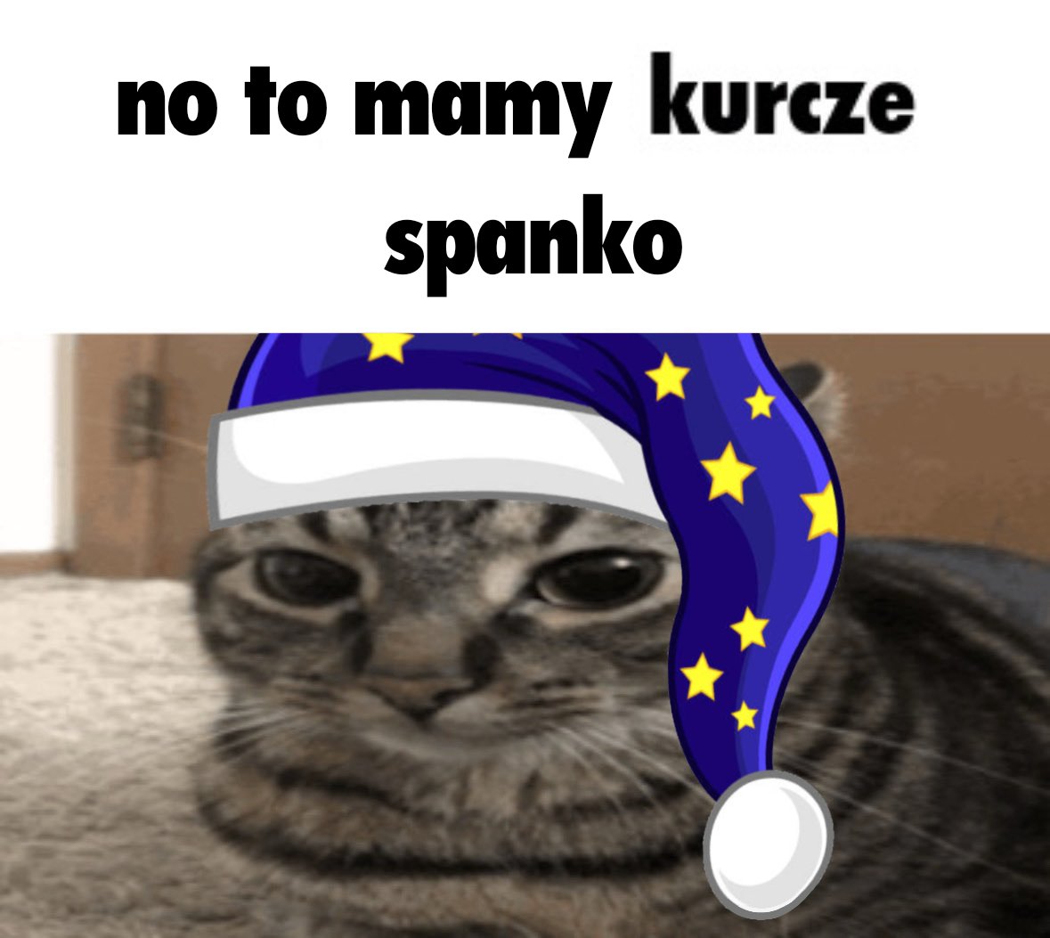 Frelka 🐈⬛ 🌿🦷 tweet media