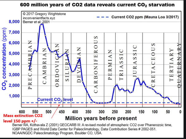 Prof Mick Wilson 1 tweet media