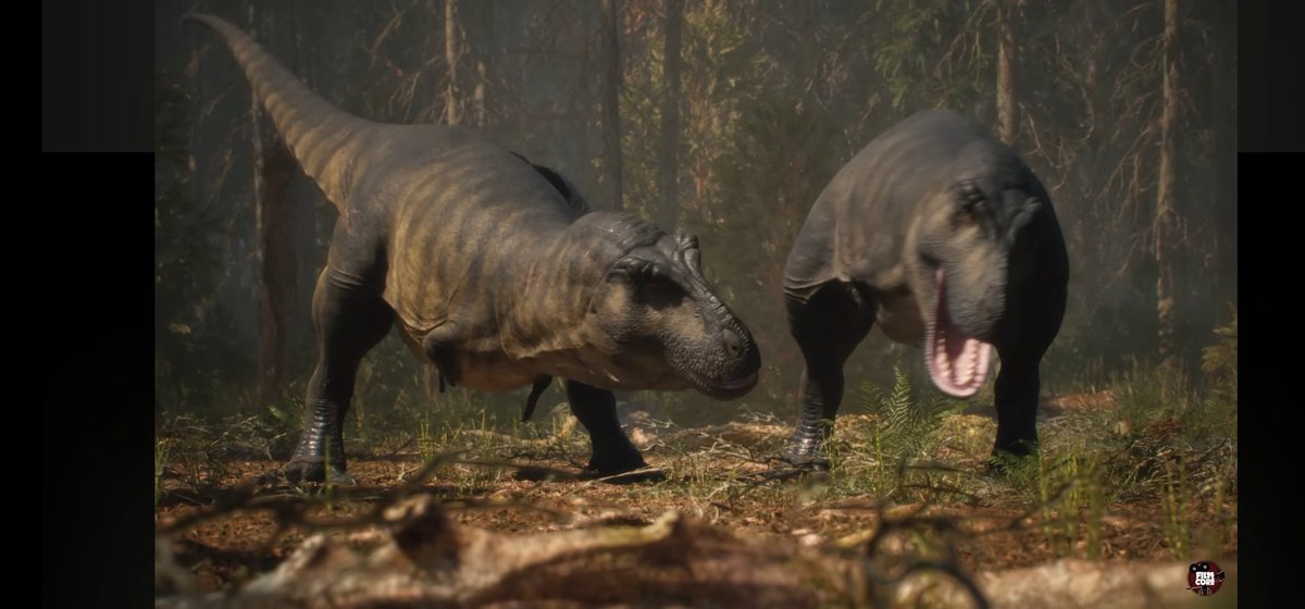 -NEO- Rooster tweet media