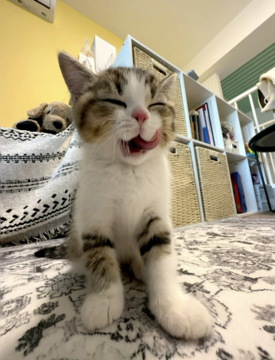 Kathleen tweet media