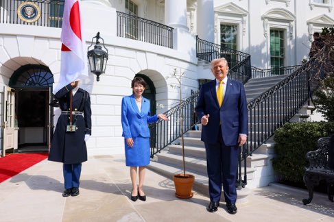 藤井セイラ tweet media