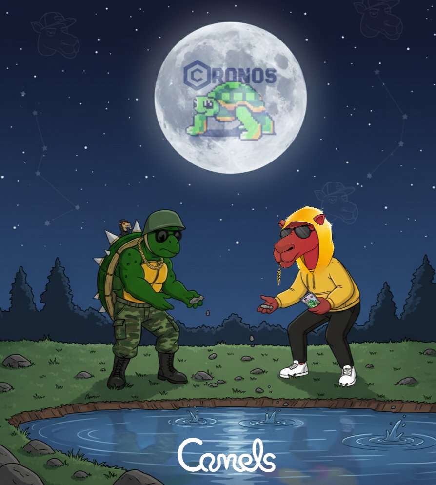 Crypto Dave tweet media