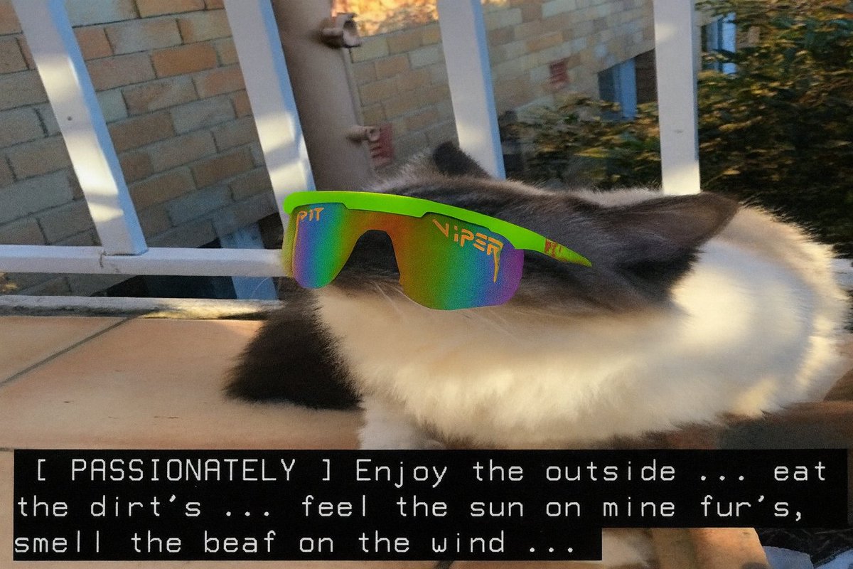 Maddi 🇦🇺🪻 tweet media