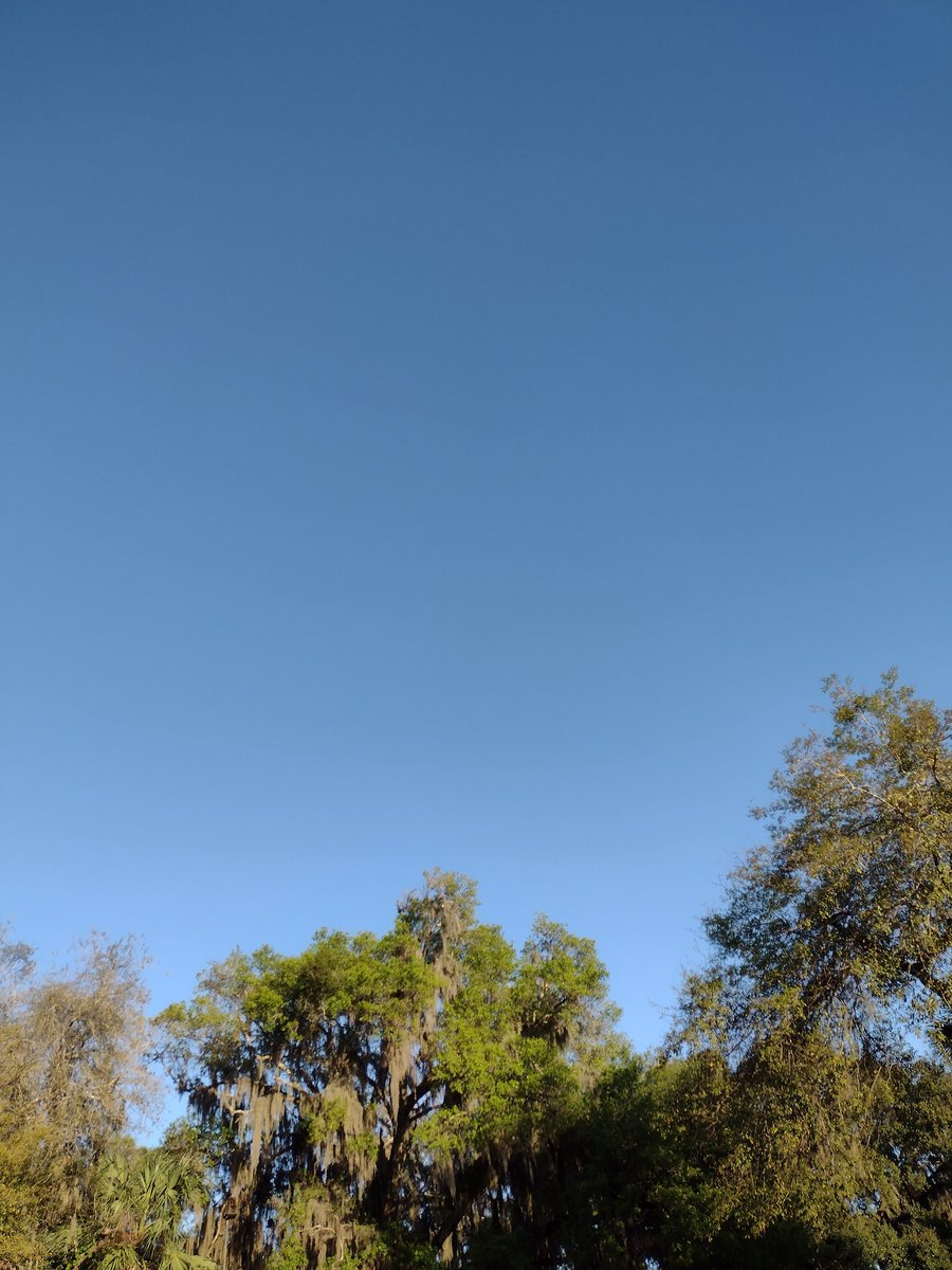 Sphincter Sphinx tweet media