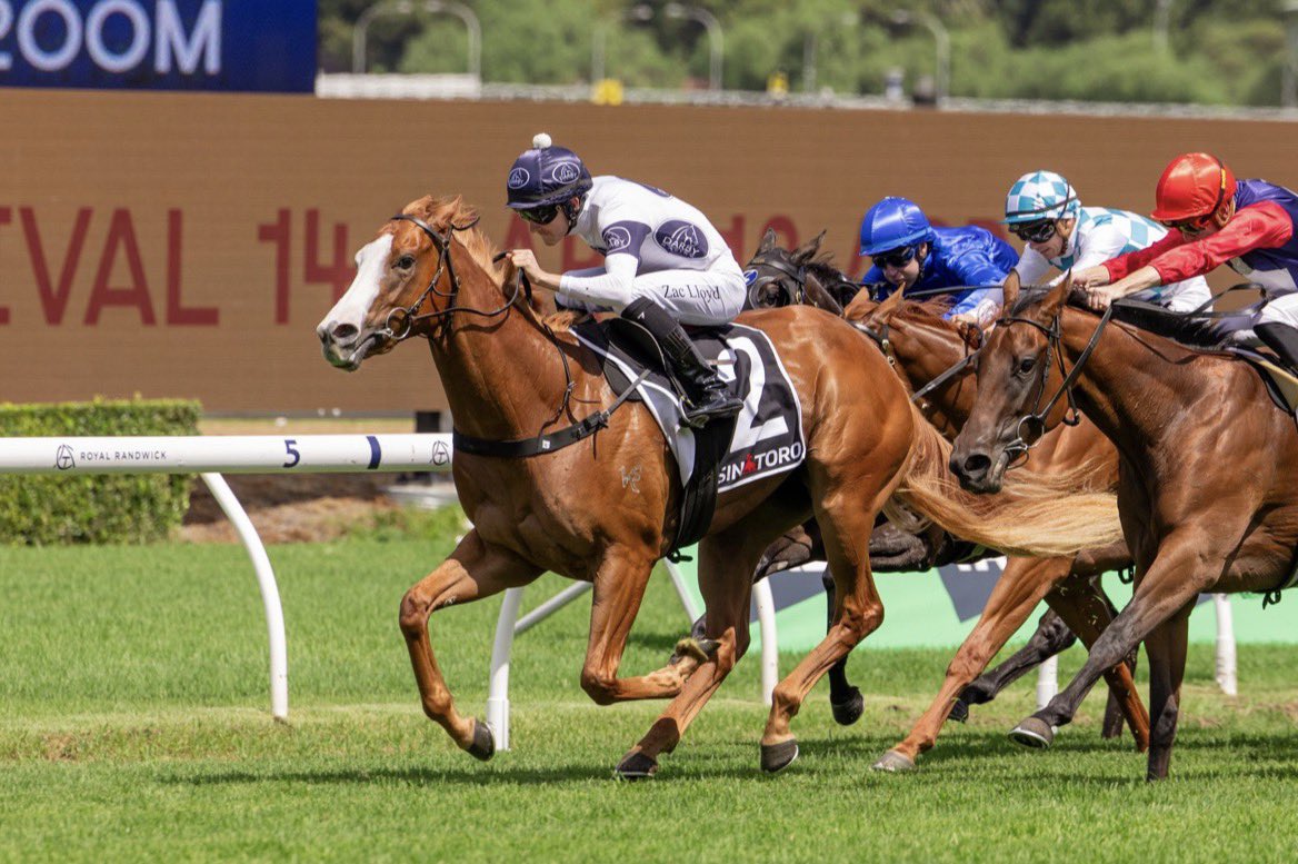 Darby Racing tweet media